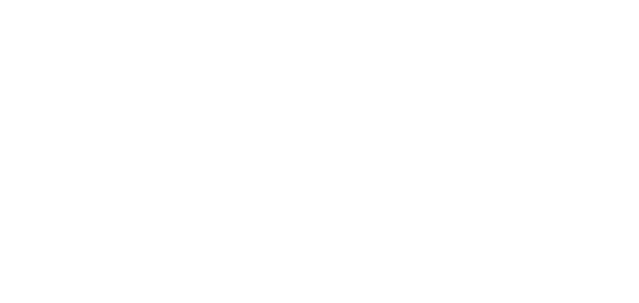 Logo-TN